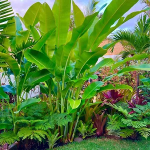 Séjour chez l'habitant La Selvita, Bajamar (La Laguna)